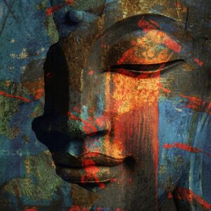 Curated Canvas Collection